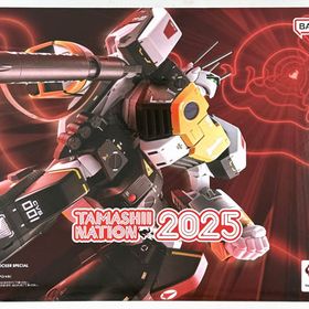 DX超合金 超時空要塞マクロス VF-1S アーマードバルキリー(ロイ・フォッカースペシャル) (魂ウェブ限定)