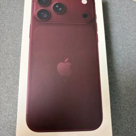 中国版iPhone18Promax 256GB海外版SIMフリー