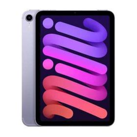 iPad mini 2021 (第6世代) Celler モデル 新品 75,000円 中古 | ネット
