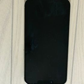 iPhone 13 Pro 256GB グラファイト SIMフリー 本体のみ