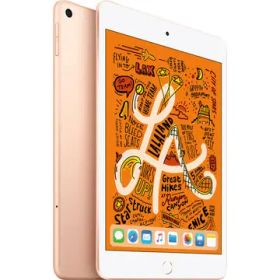 iPad mini 2019 (第5世代) Docomo 中古 35,178円 | ネット最安値の価格 