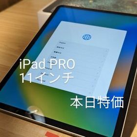 iPad Pro 11 訳あり・ジャンク 39,999円 | ネット最安値の価格比較 