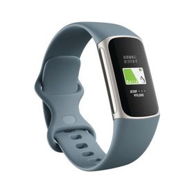 Fitbit Charge 5 新品 15,300円 | ネット最安値の価格比較 プライスランク