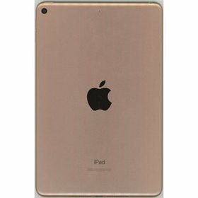 iPad mini 2019 (第5世代) 訳あり・ジャンク 25,900円 | ネット最安値 