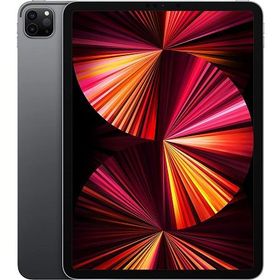 ■iPad Pro■256GB■11インチ■シルバー■最新■新品・未使用■お得■