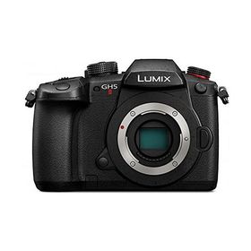 【５年保証付き(自然故障)】パナソニック ミラーレス一眼カメラ ルミックス GH5M2 ボディ ブラック DC-GH5M2