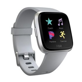 Fitbit Versa スマートウォッチ Gray L/Sサイズ 日本正規品 FB505SRGY-CJK