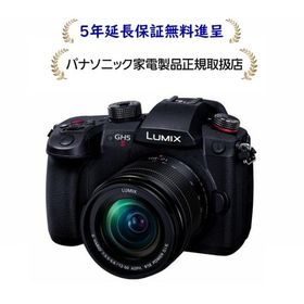パナソニック DC-GH5M2M [5年延長保証無料進呈★] LUMIX ミラーレスデジタル一眼カメラ/レンズキット