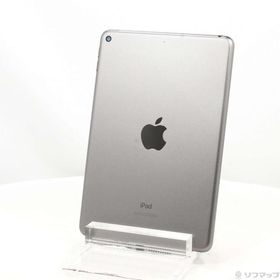 iPad mini 2019 (第5世代) 256GB 新品 116,200円 中古 | ネット最安値 ...