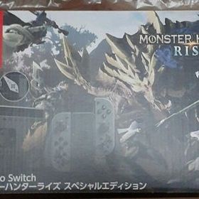 Nintendo Switch モンスターハンターライズ スペシャルエディション