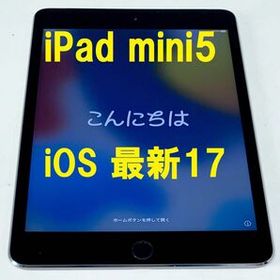 訳あり 極美品‼️ iPad mini 第5世代 64GB セルラー