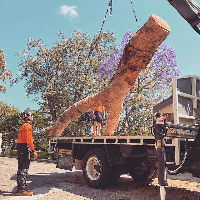 Stump Removal Inner West