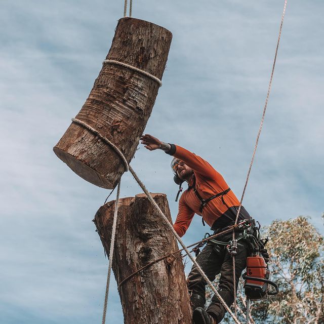 Tree Pruning Inner West