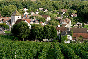Nuits-Saint-Georges