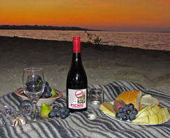 Croatian picnic