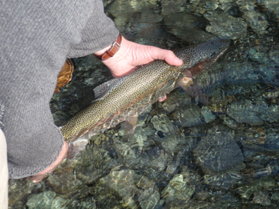 Fishing