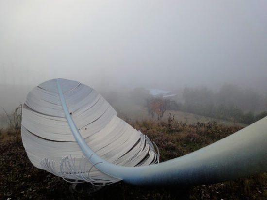 Fog and feather