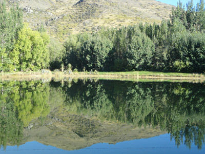 Pond