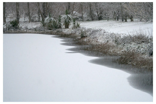 ice