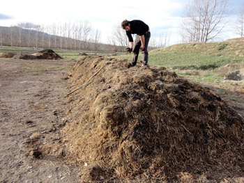 Mike and a compost mountain