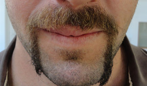 Movember 2012