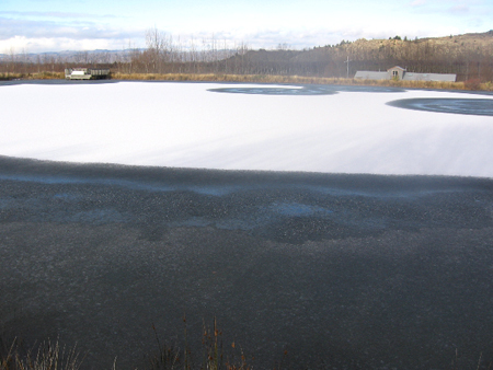 Ice circles