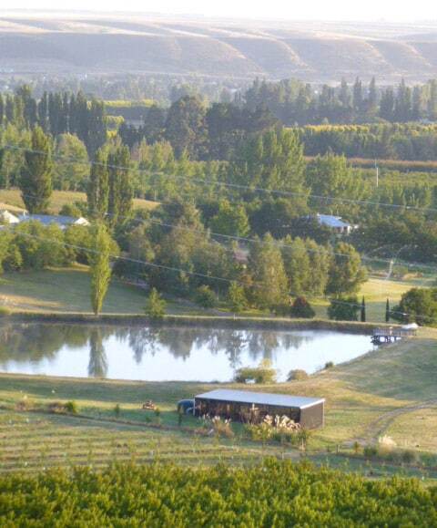 Pond