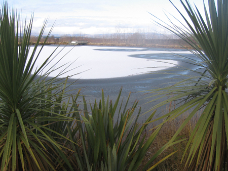 Ice circles