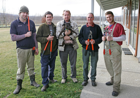 Pruning team