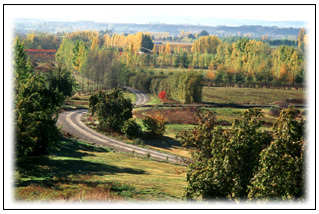 Redbank Paddocks