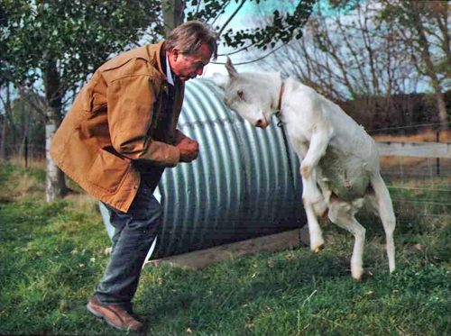 Sam and Bill