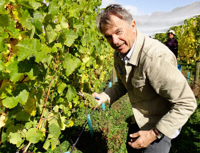Proprietor lends a hand