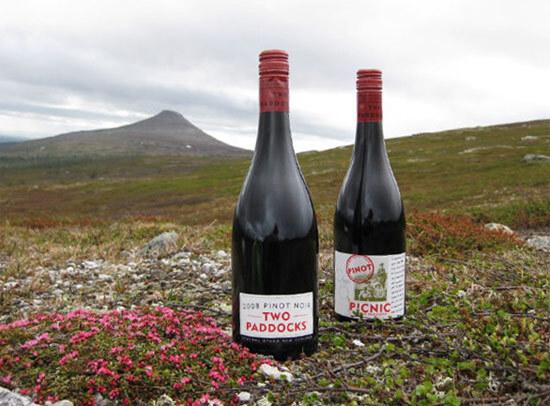 Pinot in Sweden