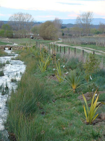Spring planting