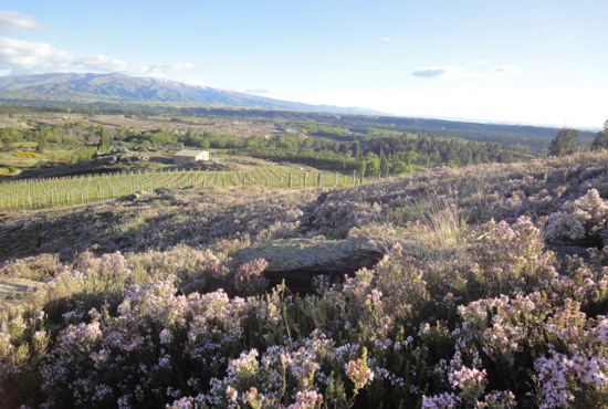 Spring at Alex