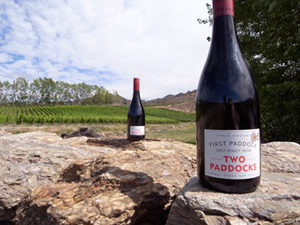 Two Paddocks