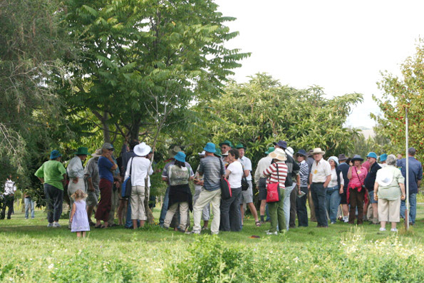 Tree Crops Conference
