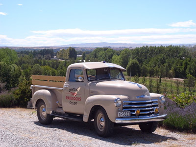 Summer truck