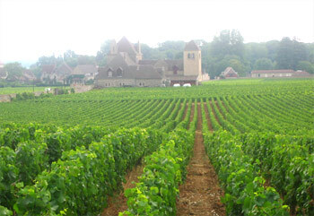 Clos Vougeot
