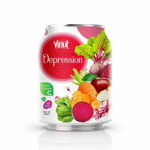 The Top 10 Best Healthy Juice for Health 31 250ml Can 100 Vegetable Juice Juice for Depression