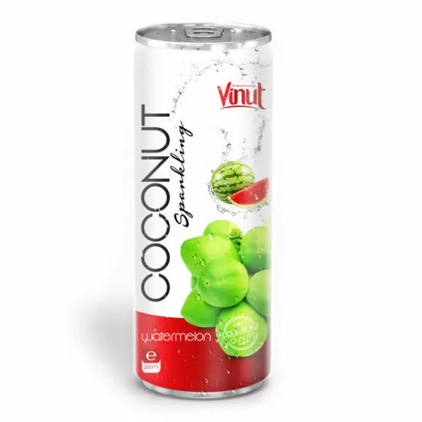 Top 5 Healthy Coconut Water Products for Hydration 48 250ml Canned Premium Quality Coconut Sparkling Water with Watermelon juice