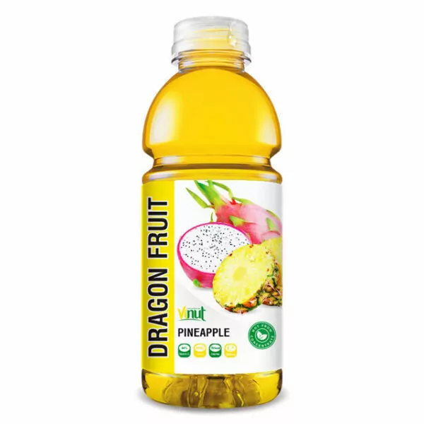 Vietnamese Fruits: 15 Tasty Fruits of Vietnam 13 525ml Bottle Dragon Fruit Juice with Pineapple Drink