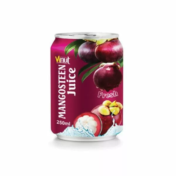 Vietnamese Fruits: 15 Tasty Fruits of Vietnam 3 Fresh Mangosteen juice 250ml