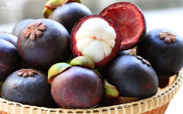 VINUT_Mangosteen VINUT_Mangosteen