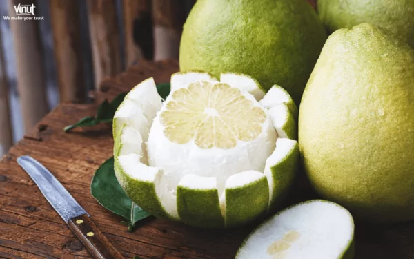 VINUT_Pomelo VINUT_Pomelo