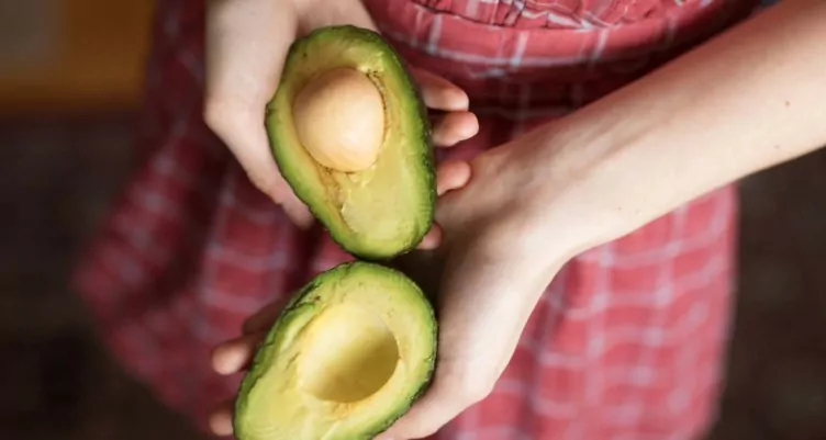 A BEGINNER’S GUIDE TO AUTOPHAGY, THE REAL WAY TO DETOX YOUR BODY 2 Autophagy Is the Real Way to Detox Your Body 5 ways to conquer autophagy Eat a high fat low carb diet 752x401 1