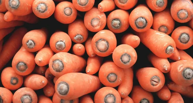 A BEGINNER’S GUIDE TO AUTOPHAGY, THE REAL WAY TO DETOX YOUR BODY 3 Autophagy Is the Real Way to Detox Your Body 5 ways to conquer autophagy Go on a protein fast 752x401 1
