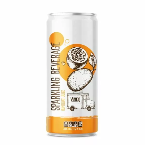 What's the Difference Between Club Soda, Seltzer, Sparkling, and Tonic Water? 5 12 fl oz VINUT Sparkling Kumquat Juice