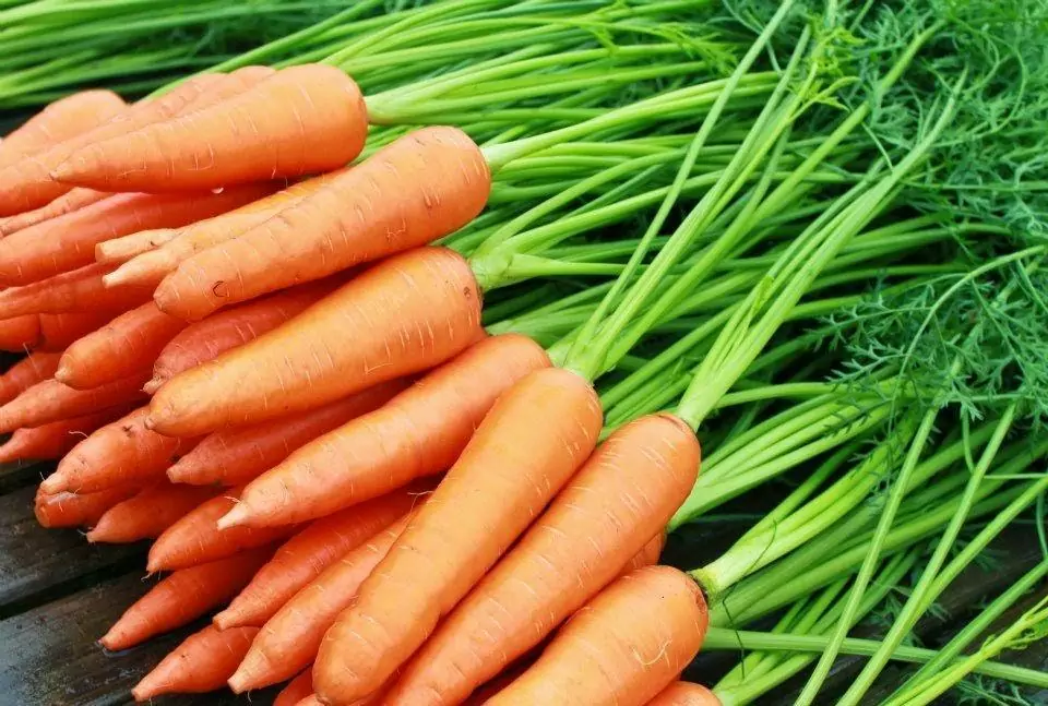 ABC Detox Drink: Why Apple, Beetroot and Carrot is a Great Combination 4 caroot