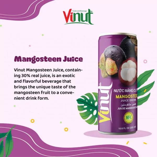 Vietnamese Fruits: 15 Tasty Fruits of Vietnam 5 10.8 fl oz Vinut Mangosteen Juice drink 30 Juice